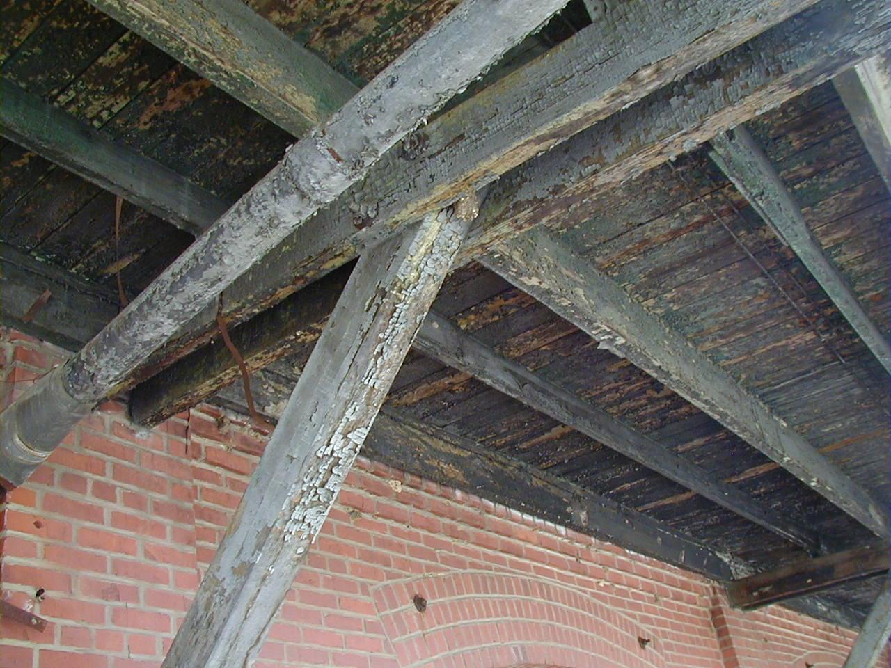 Lead Abatement Enpuricon